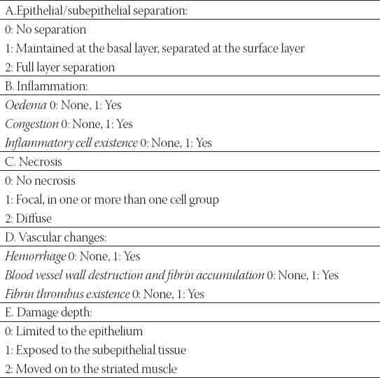 The comparison of thermal tissue injuries caused by ultrasonic