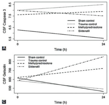 Neuroprotective effects of sildenafil in experimental spinal cord injury in rabbits