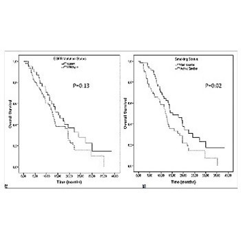Impact of active smoking on survival of patients with metastatic lung adenocarcinoma harboring an epidermal growth factor receptor (EGFR) mutation