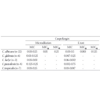 Catheter-associated urinary tract infections in intensive care units at a university hospital in Turkey