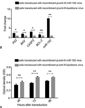 Tumor suppressive function of microRNA-192 in acute lymphoblastic leukemia