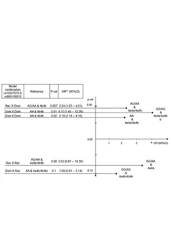 The joint effect of the endothelin receptor B gene (EDNRB) polymorphism rs10507875 and nitric oxide synthase 3 gene (NOS3) polymorphism rs869109213 in Slovenian patients with type 2 diabetes mellitus and diabetic retinopathy