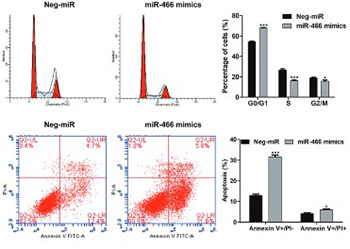 MicroRNA-466 (miR-466) functions as a tumor suppressor and prognostic factor in colorectal cancer (CRC)