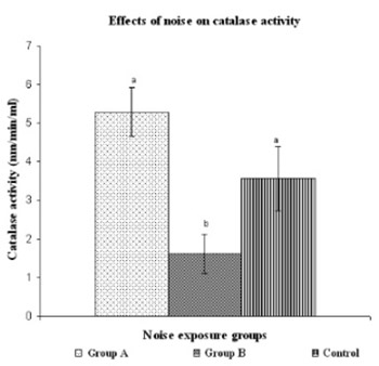 Effects of noise exposure on catalase activity of growing lymphocytes