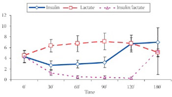 Effect of Lactate on Insulin Action in Rats