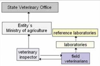 Brucellosis of Ruminants in Bosnia and Herzegovina: Disease Status, Past Experiences and Initiation of a New Surveillance Strategy