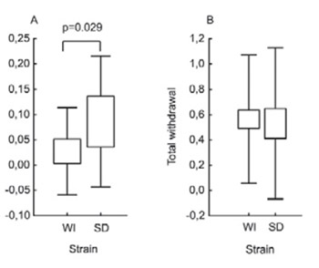 Hyperalgesia-Type Response Reveals No Difference in Pain-Related Behavior Between Wistar and Sprague-Dawley Rats