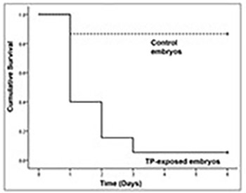 Teucrium Polium Plant Extract Provokes Substantial Cytotoxicity at the Early Stage of Embryonic Development