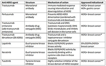 Targeting HER2 expression in cancer: New drugs and new indications