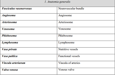 A plea for an extension of the anatomical nomenclature: Organ systems