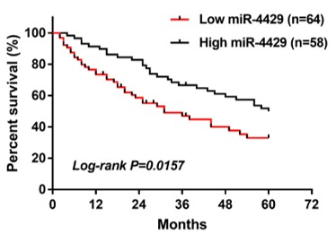 Dysregulated circulating miR-4429 serves as a novel non-invasive biomarker and is correlated with EGFR mutation in patients with non-small cell lung cancer