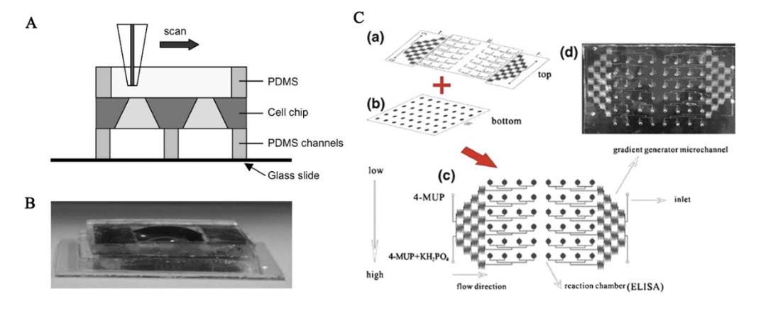 Application of microfluidic chips in anticancer drug screening