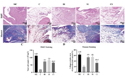 Botulinum toxin combined with static progressive stretching improves fibrous stiffness of knee joint in rats through TGF-β1/Smad pathway