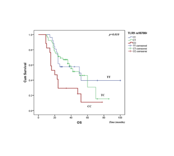Impact of TLR9 and TLR7 gene polymorphisms on prognosis and survival of patients with oral squamous cell carcinoma
