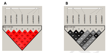 Cholesterol 7 alpha-hydroxylase (CYP7A1) gene polymorphisms are associated with increased LDL-cholesterol levels and with incidence of subclinical atherosclerosis