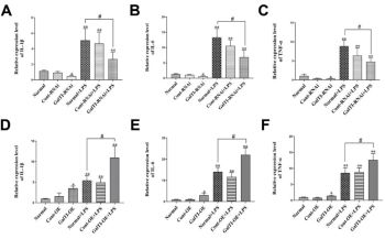 Effect of β-1,4-GalTI on the biological function of astrocytes treated by LPS