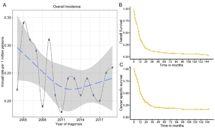 Epidemiology, prognostic factors, and survival analysis in small cell esophageal carcinoma: A population-based study with external validation