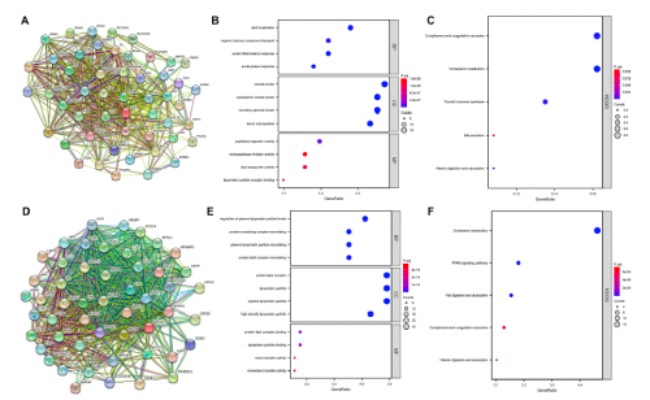 Therapeutic potential of simvastatin in ALS: Enhanced axonal integrity and motor neuron survival through Apoa4 and Alb modulation