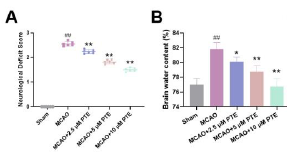 Study on the mechanism of Wnt/β-catenin pathway mediated by pterostilbene to reduce cerebral ischemia-reperfusion injury