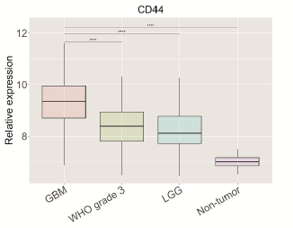 TNFSF14 and CD44 are overexpressed in glioblastoma and associated with immunosuppressive microenvironment