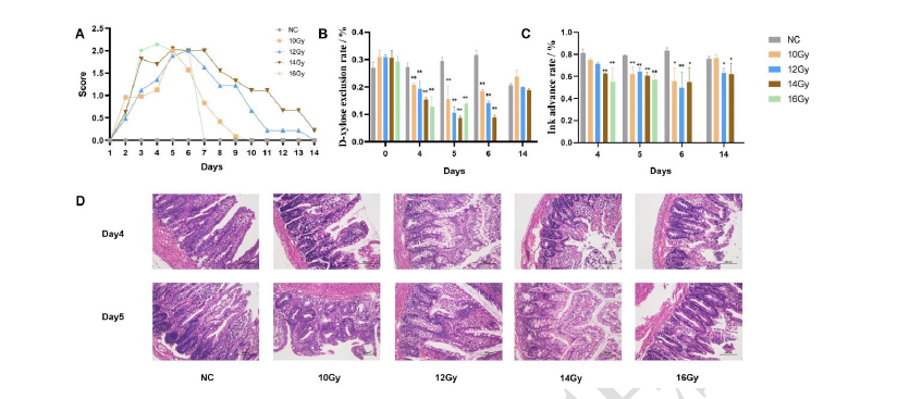 Fecal microbiota transplantation alleviates radiation enteritis by modulating gut microbiota and metabolite profiles