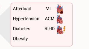 The regulatory role of exercise in heart failure and myocardial energy metabolism: A review