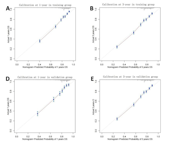 A prognostic nomogram for predicting overall survival in colorectal mucinous adenocarcinoma patients based on the SEER database