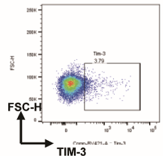Increased co-expression of TIM-3 with TIGIT or 2B4 on CD8+ T cells is associated with poor prognosis in locally advanced nasopharyngeal carcinoma