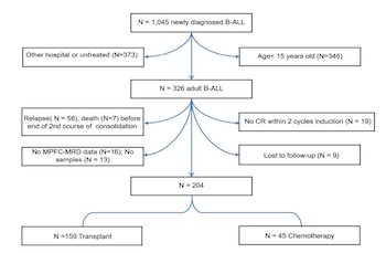 CSRP2transcript levels after consolidation therapyincrease prognostic prediction ability in B-cell acutelymphoblastic leukemia